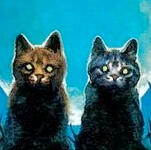WARRIOR CATS
